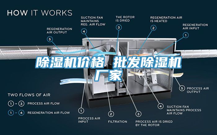 蘑菇视频网站價格 批發蘑菇视频网站廠家