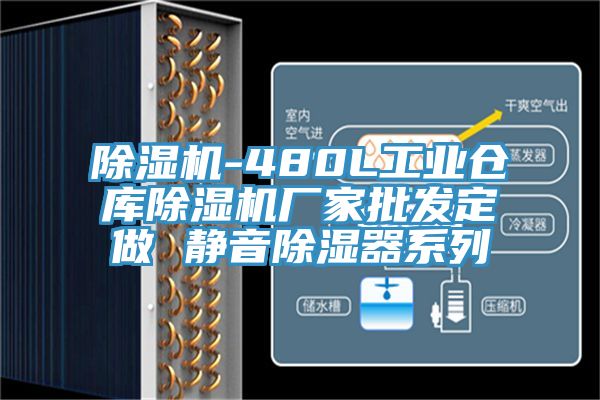 蘑菇视频网站-480L工業倉庫蘑菇视频网站廠家批發定做 靜音除濕器係列