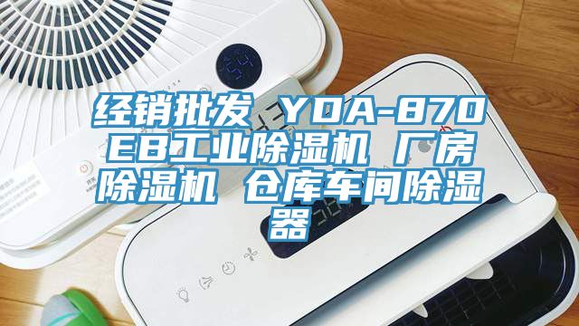 經銷批發 YDA-870EB工業蘑菇视频网站 廠房蘑菇视频网站 倉庫車間除濕器