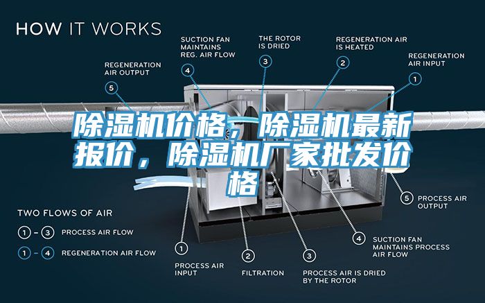 蘑菇视频网站價格，蘑菇视频网站最新報價，蘑菇视频网站廠家批發價格