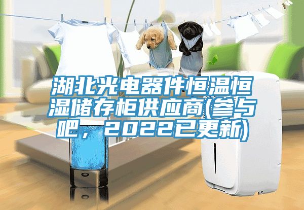 湖北光電器件恒溫恒濕儲存櫃供應商(參與吧，2022已更新)