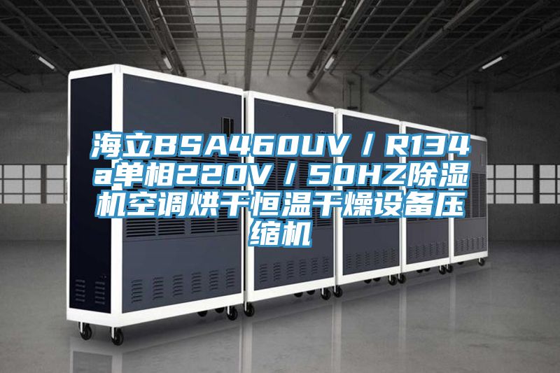 海立BSA460UV／R134a單相220V／50HZ蘑菇视频网站空調烘幹恒溫幹燥設備壓縮機