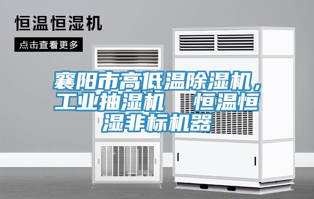 襄陽市高低溫蘑菇视频网站，工業抽濕機  恒溫恒濕非標機器