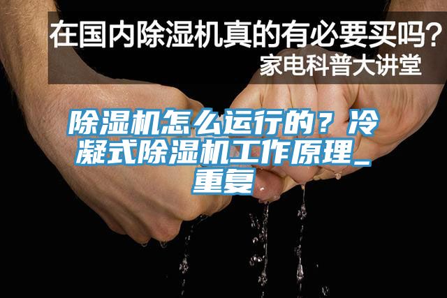 蘑菇视频网站怎麽運行的？冷凝式蘑菇视频网站工作原理_重複