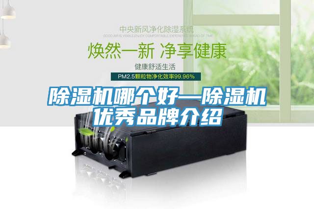 蘑菇视频网站哪個好—蘑菇视频网站優秀品牌介紹