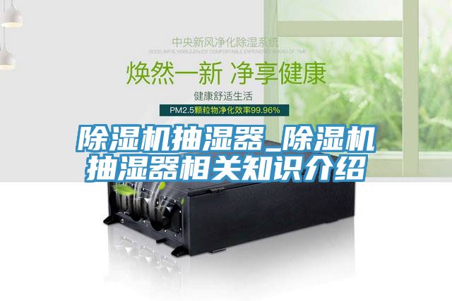 蘑菇视频网站抽濕器_蘑菇视频网站抽濕器相關知識介紹