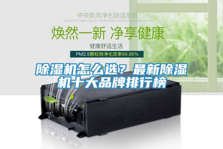 蘑菇视频网站怎麽選？最新蘑菇视频网站十大品牌排行榜