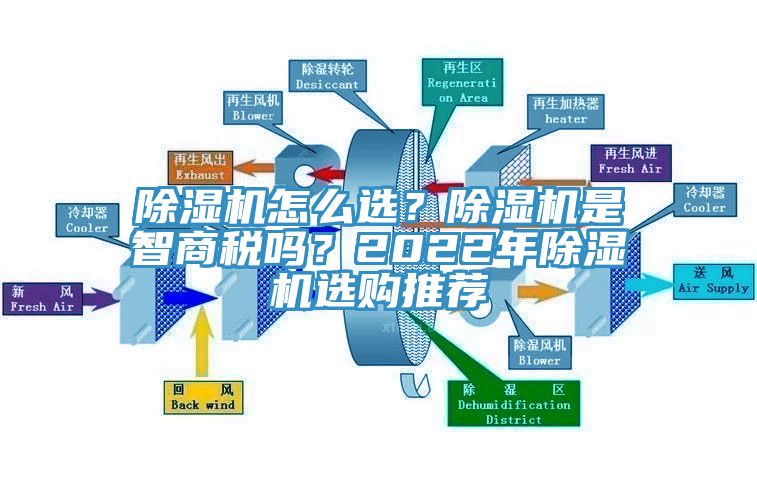 蘑菇视频网站怎麽選？蘑菇视频网站是智商稅嗎？2022年蘑菇视频网站選購推薦