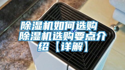 蘑菇视频网站如何選購 蘑菇视频网站選購要點介紹【詳解】