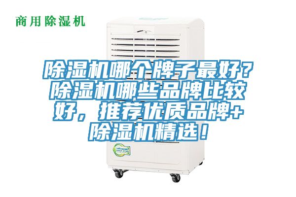 蘑菇视频网站哪個牌子最好？蘑菇视频网站哪些品牌比較好，推薦優質品牌+蘑菇视频网站精選！