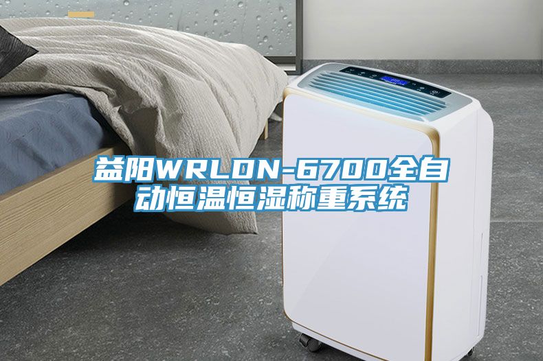 益陽WRLDN-6700全自動恒溫恒濕稱重係統