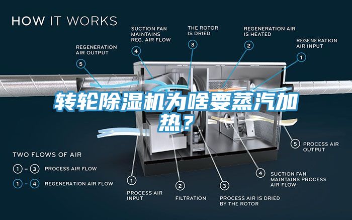 轉輪蘑菇视频网站為啥要蒸汽加熱？