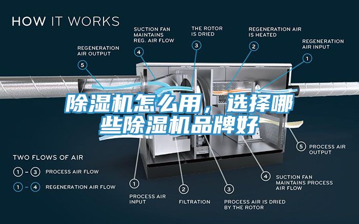 蘑菇视频网站怎麽用，選擇哪些蘑菇视频网站品牌好